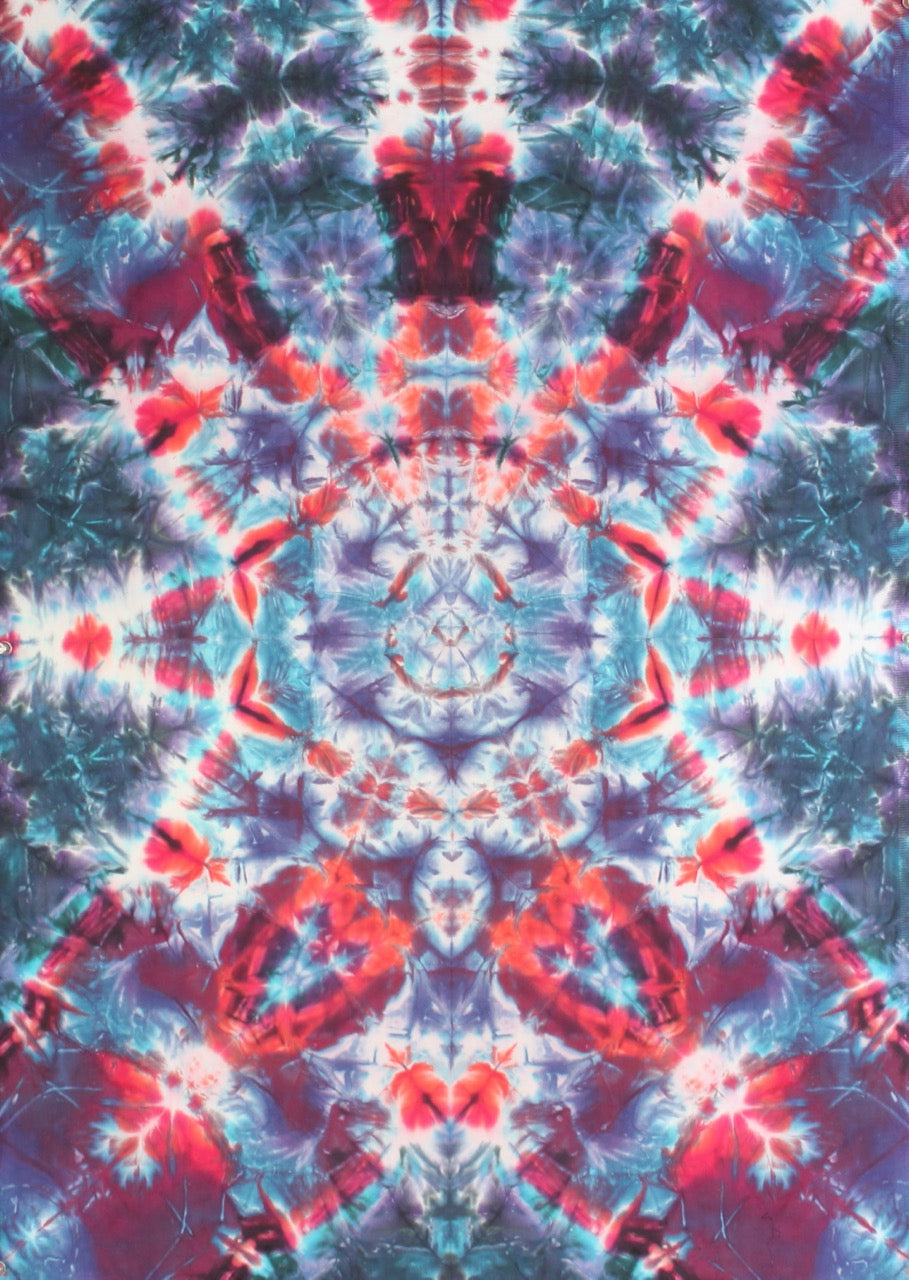 'Space and Time Navigator' art panel Mandala  30