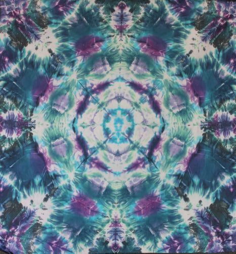 'refraction Chamber' 22