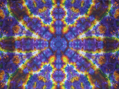 'Arachna Cadabra'  22