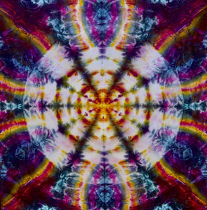 'Psychadelic Arachnid Web' art panel 22"X22" #2646 $180