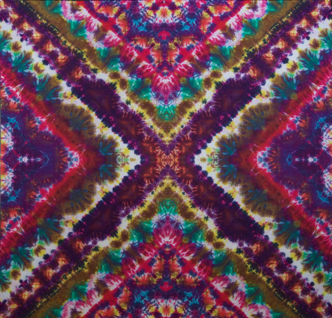 Extraordinary Delta' art panel Mandala 55