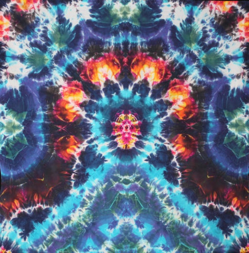 'Atomic Scarab' art panel  22