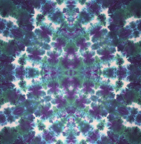 ' Snow Dragon '  27