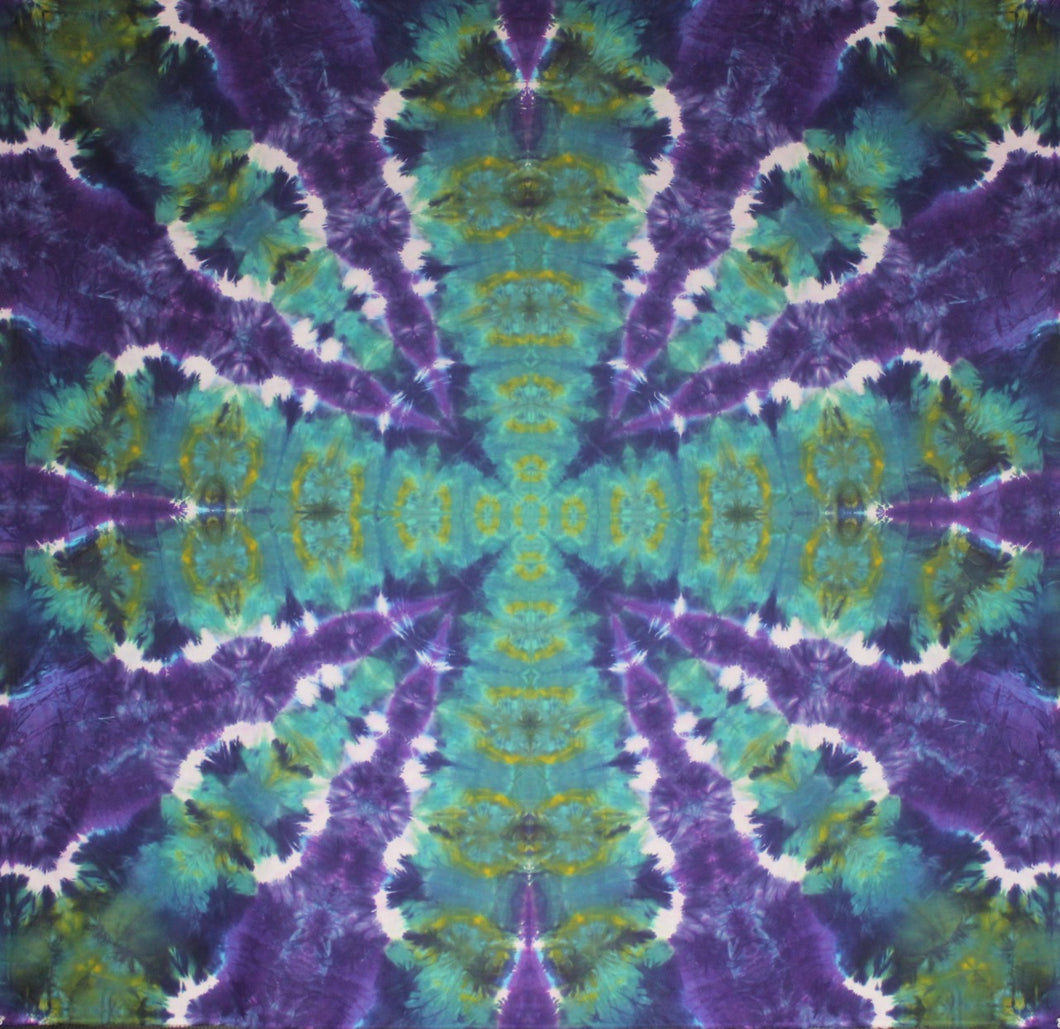 Alligator Maelstrom  55