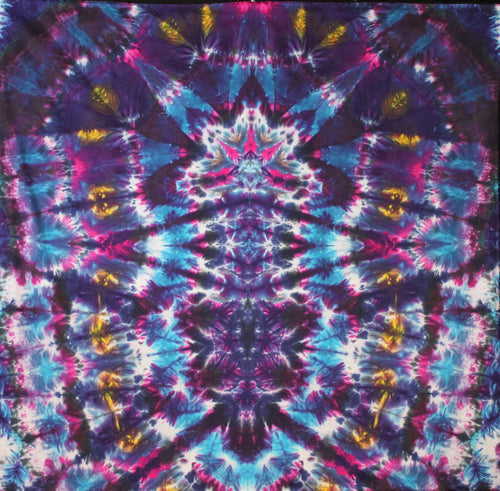 'Stellar Polar Dynamic Guardians' art panel 44