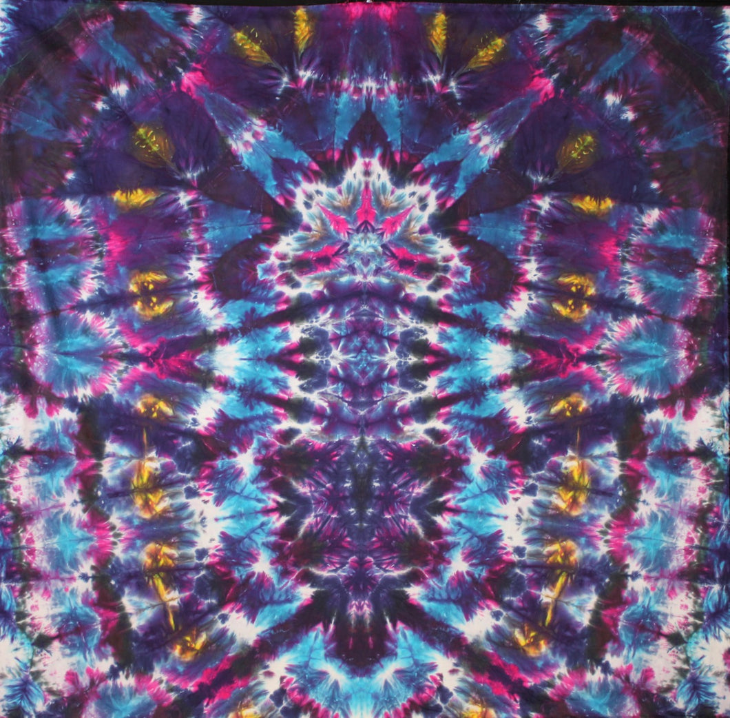 'Stellar Polar Dynamic Guardians' art panel 44