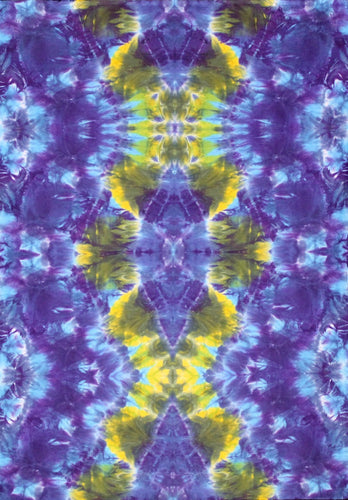 'Ice 1X' art panel 27