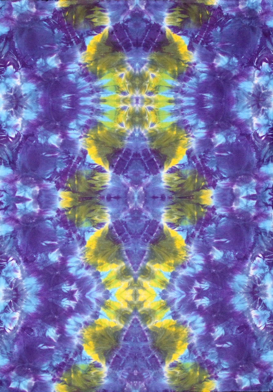 'Ice 1X' art panel 27