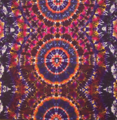 'Synchronicity' Mandala art panel 55