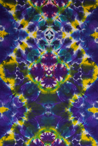 'Toroidal Activation' art panel 32